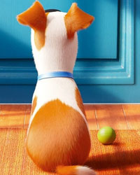 The Secret Life of Pets